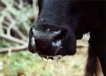 049b77c02a27410c96724d4dd285513f 049b77c02a27410c96724d4dd285513f