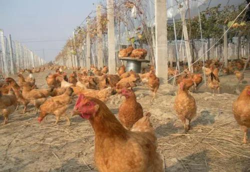 微信圖片_20210422162052