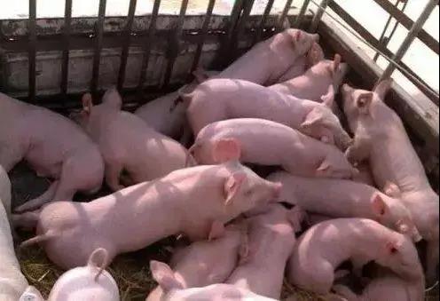 微信圖片_20210422161254