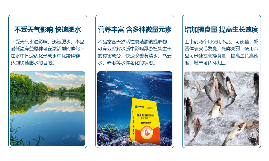 水產(chǎn)養(yǎng)殖肥水調(diào)水肥水動(dòng)力源產(chǎn)品功效
