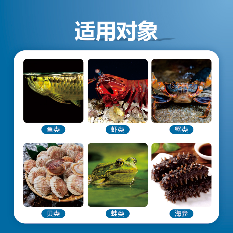 快速肥水-肥水動(dòng)力源 快速肥水-肥水動(dòng)力源