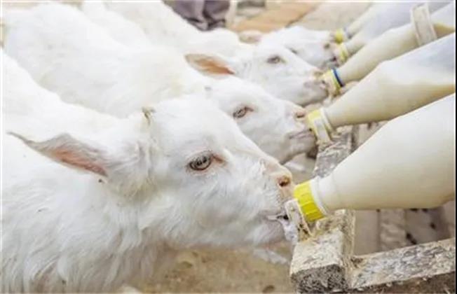 微信圖片_20210717102633