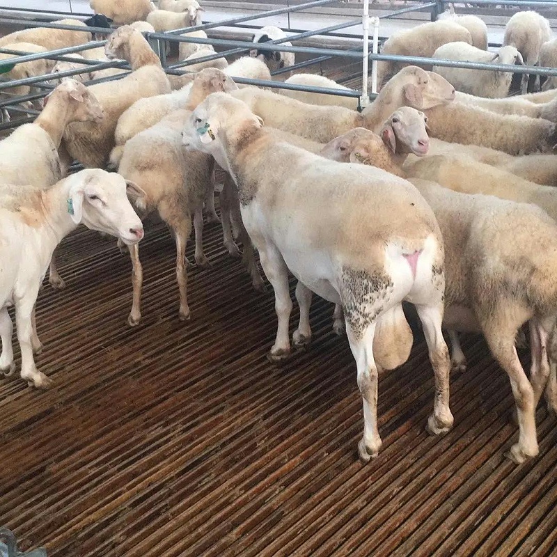 微信圖片_20210717102700