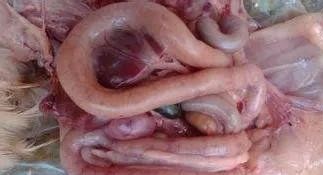 e1fe9925bc315c6092a6f6c12b646c15485477cd e1fe9925bc315c6092a6f6c12b646c15485477cd