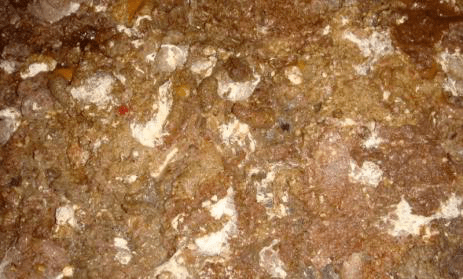 0c8f1a4a3c274354864e5c3005ba3a58 0c8f1a4a3c274354864e5c3005ba3a58