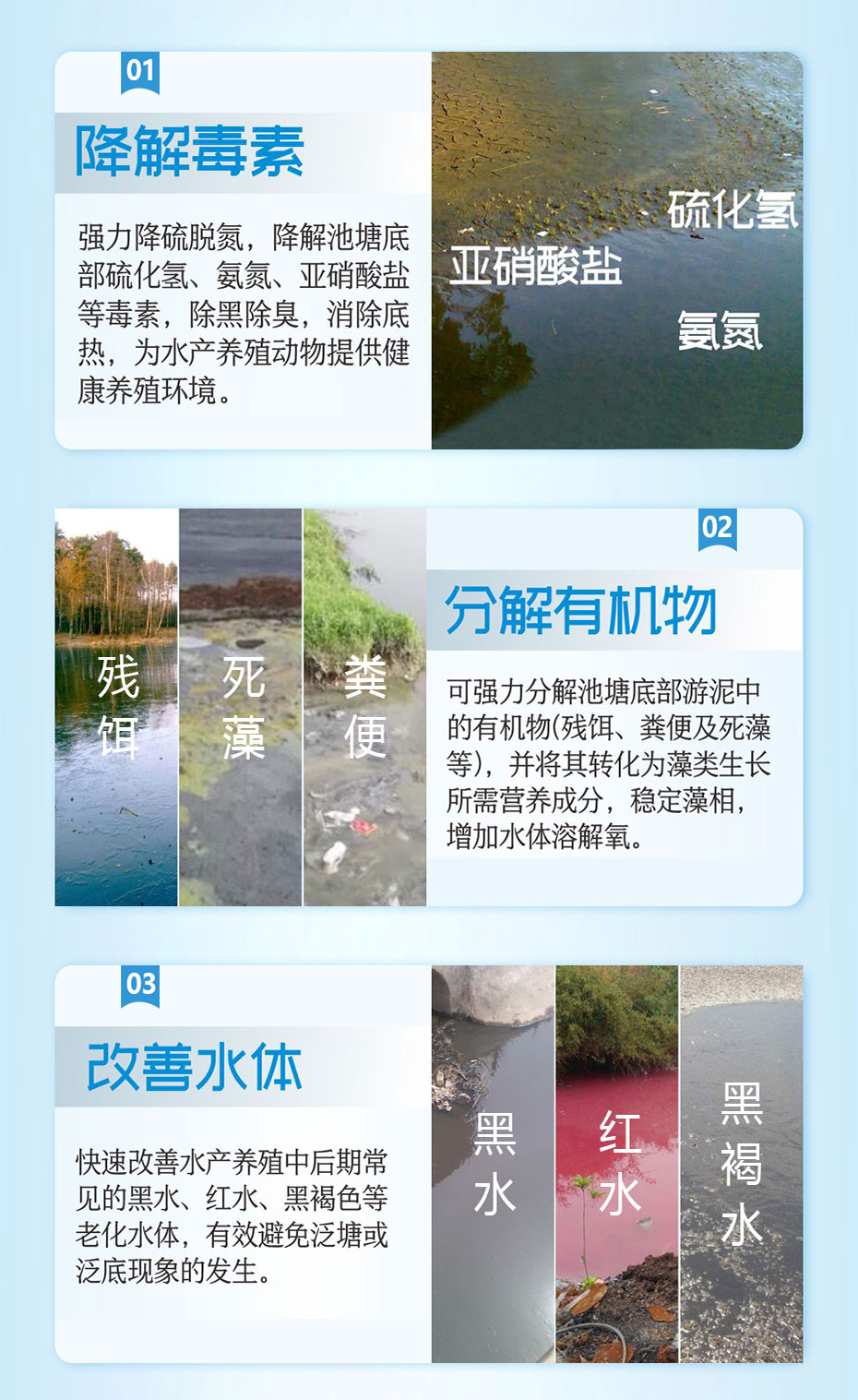 水產(chǎn)養(yǎng)殖生物改底飼料添加劑強生源