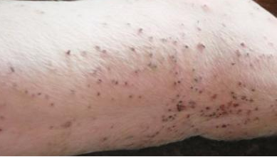 微信圖片_20210605174312