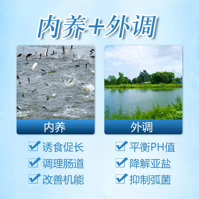 補(bǔ)菌活水-乳動力