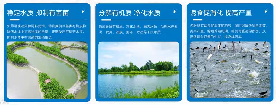 水產(chǎn)飼料添加劑乳動力