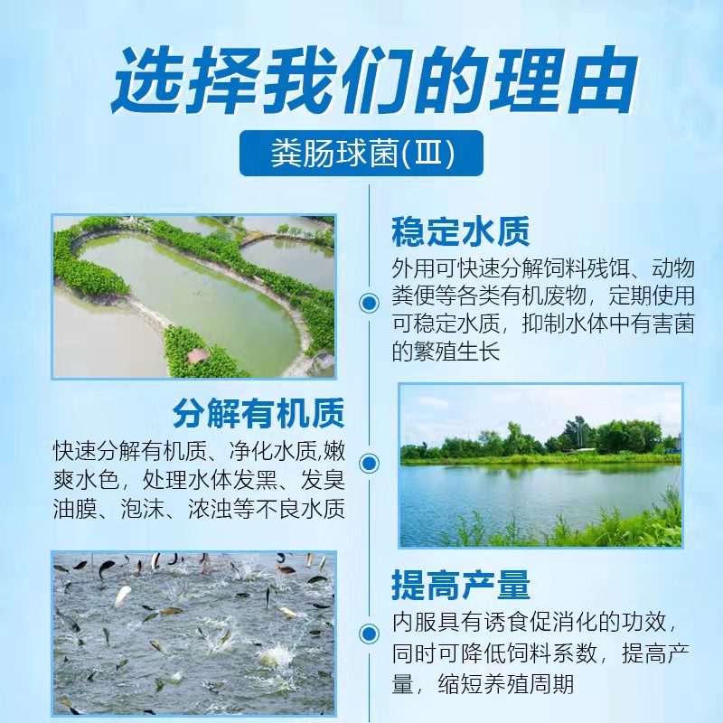 補(bǔ)菌活水-乳動力