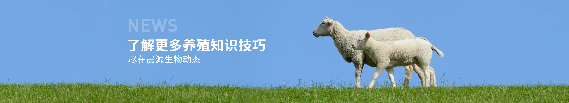 了解更多養(yǎng)殖知識技巧 盡在晨源生物動態(tài)