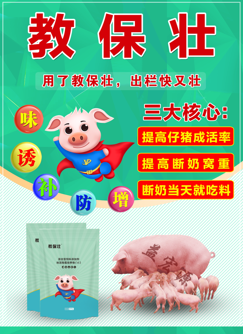 教保壯1 教保壯1