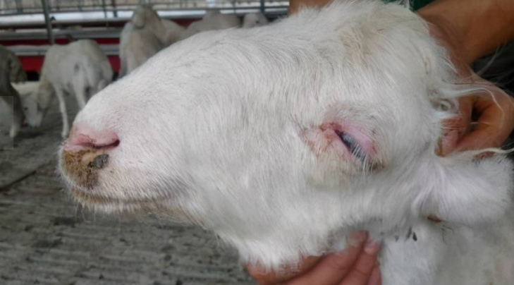 2f9d97d0f23d76778e123029aed8ccb 2f9d97d0f23d76778e123029aed8ccb