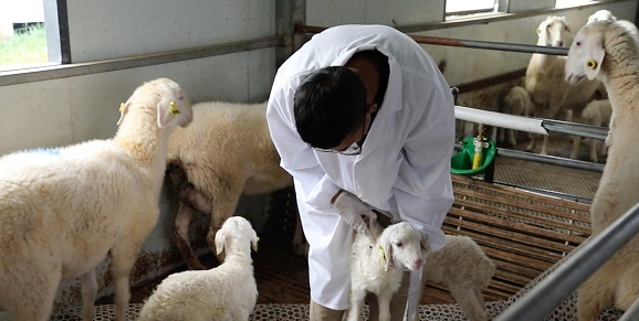 b654b7abf2bc364f518c0e1fa63fc70 b654b7abf2bc364f518c0e1fa63fc70